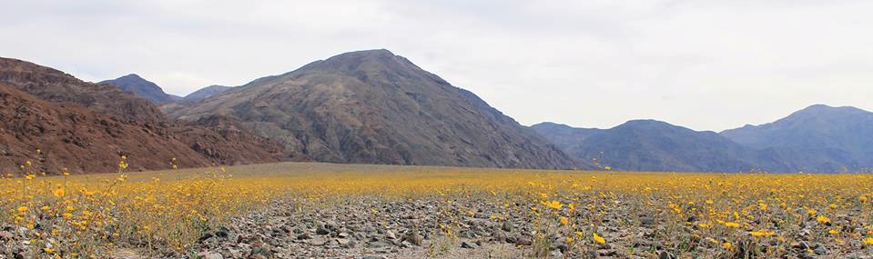 Death Valley landscape